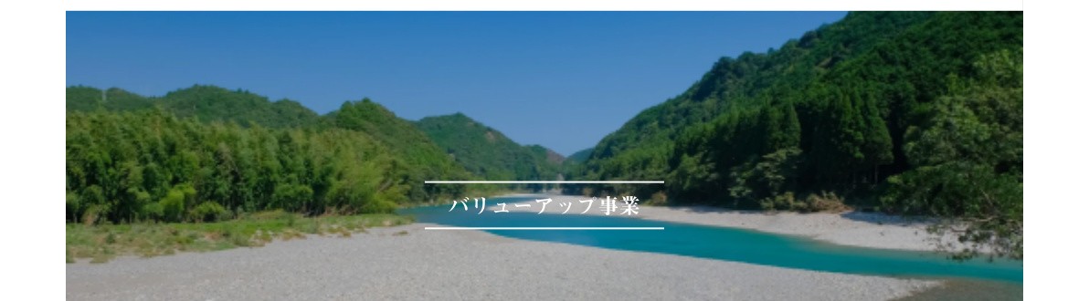 バリューアップ事業